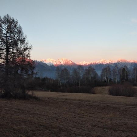 Al Salt Villa Belluno Exteriör bild