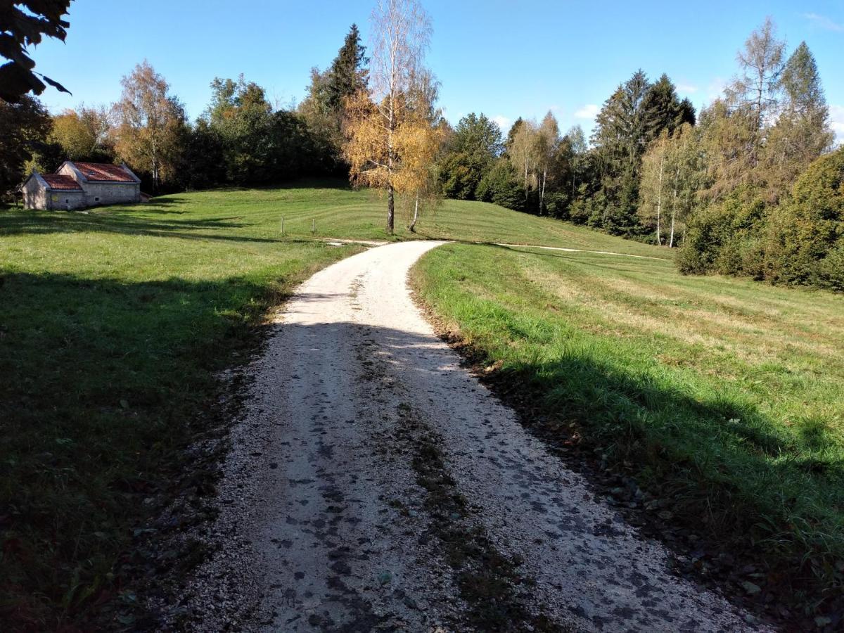 Al Salt Villa Belluno Exteriör bild