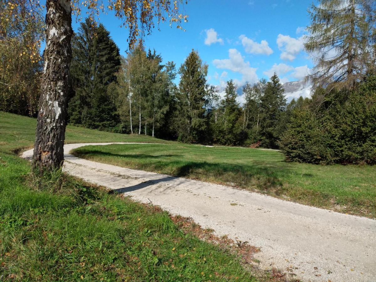 Al Salt Villa Belluno Exteriör bild